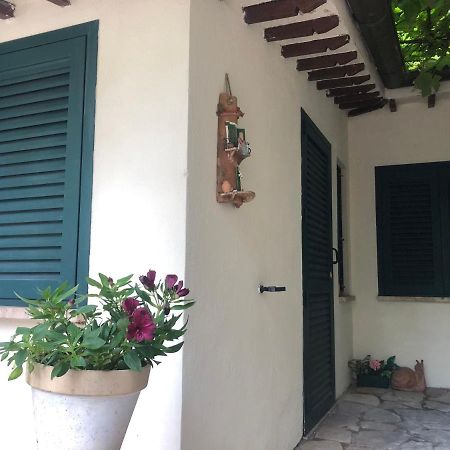 B&B Uva Fragola Περούτζια Εξωτερικό φωτογραφία