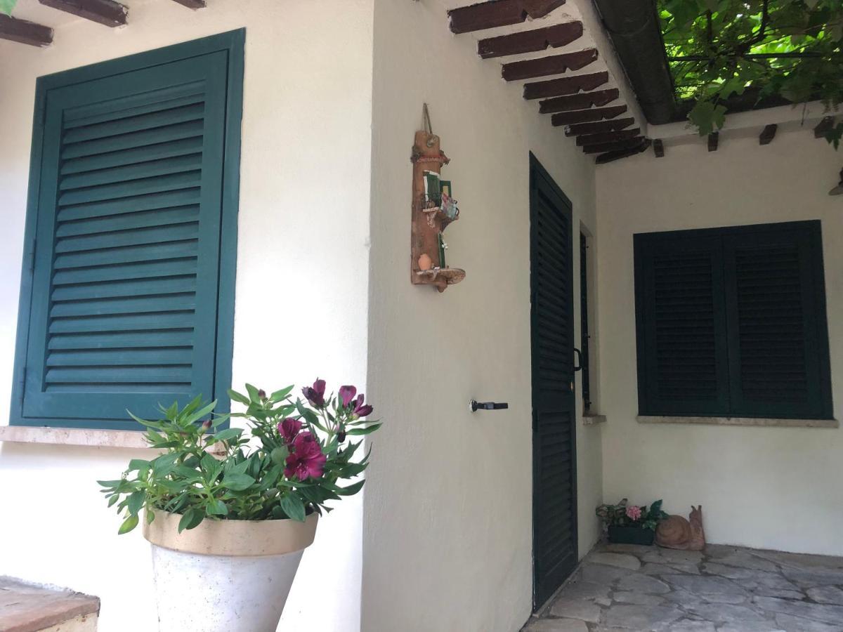 B&B Uva Fragola Περούτζια Εξωτερικό φωτογραφία