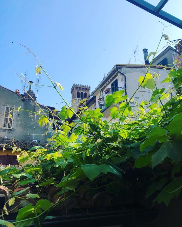 B&B Uva Fragola Περούτζια Εξωτερικό φωτογραφία