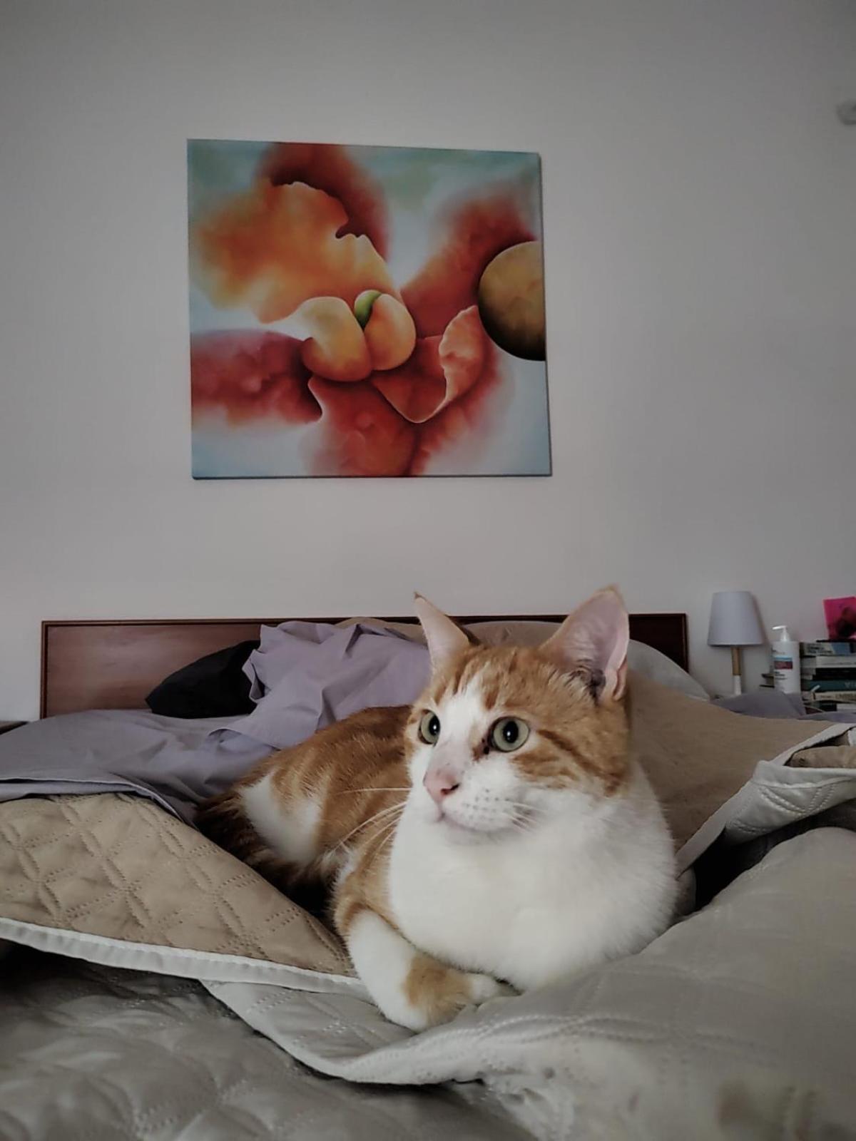 B&B Uva Fragola Περούτζια Εξωτερικό φωτογραφία
